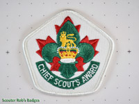 Click to enlarge Chief Scout's Award